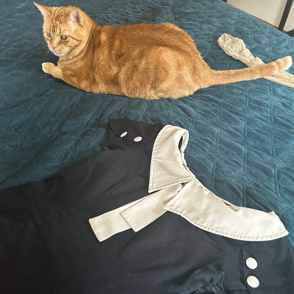 Banned Apparel sailor top - Picture 5 of 5